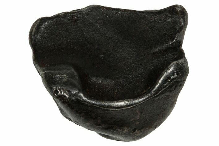 Fusion Crusted Sikhote-Alin Iron Meteorite ( g) - Russia #334582